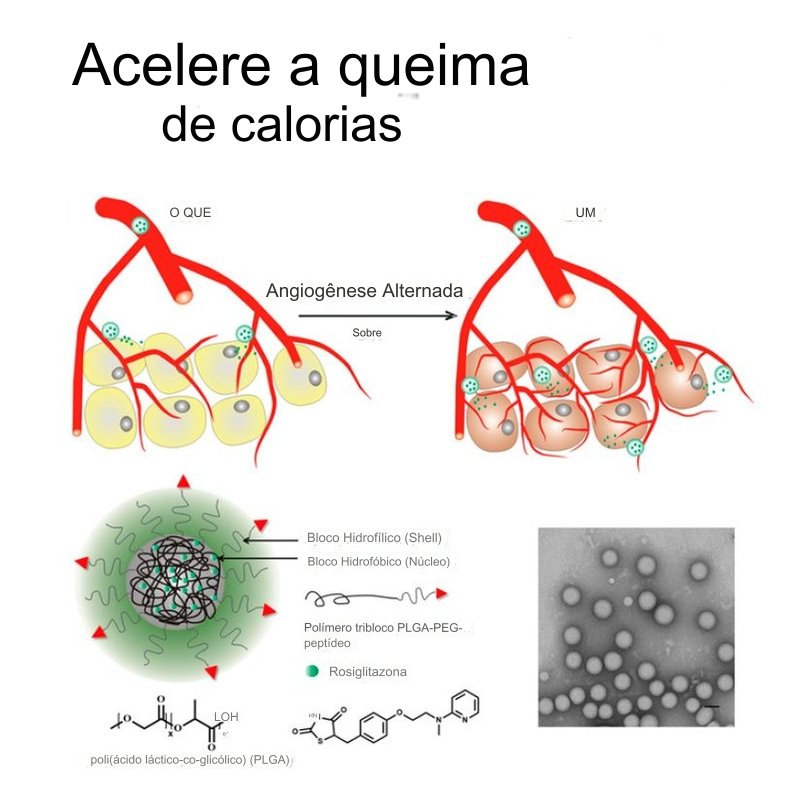 CALCINHA MODELADORA SEM COSTURA